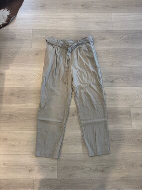 Zara Men’s Paperbag Waist Chinos in Taupe